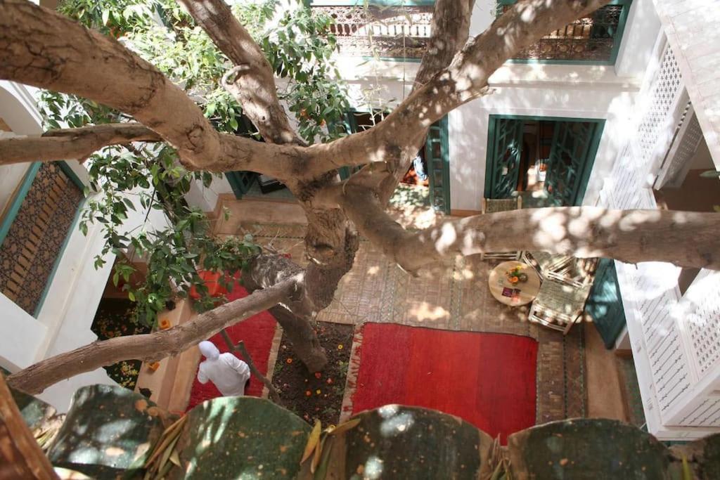 Dar Zitouna - Entire House In Exclusivity Casa vacanze
